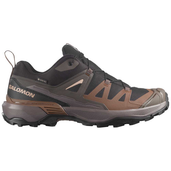 Salomon X Ultra 360 GTX